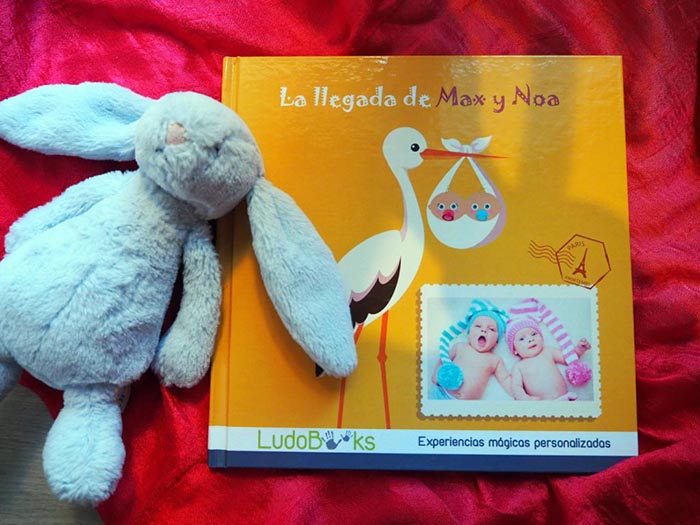 Portada libro La llegada del bebé para gemelos